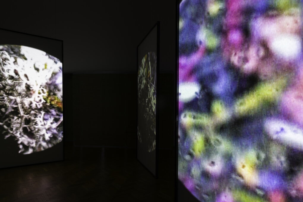 A Love Supreme - Rané intermediální kolektivy a&nbsp;vztah audio-vizuálního signálu